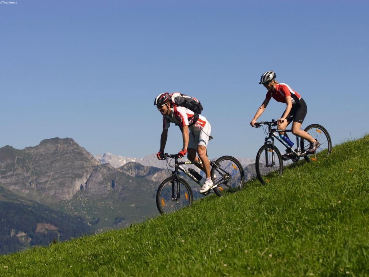 Luxury In Salzburg With Terrace Chalet *